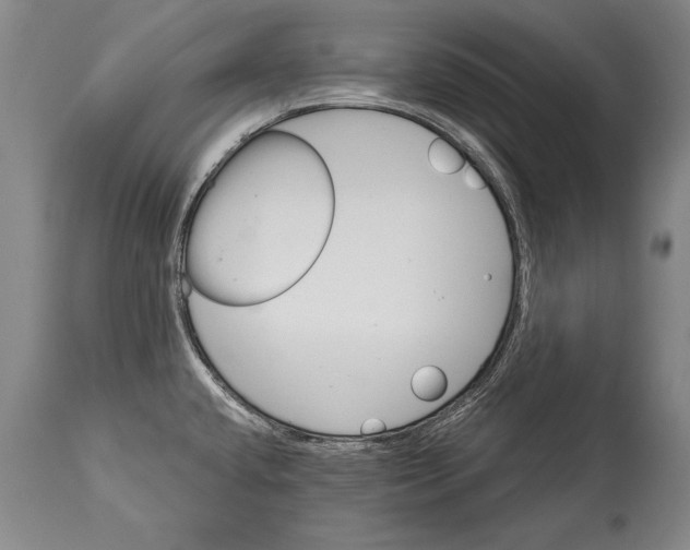 X0000114401432200911061527