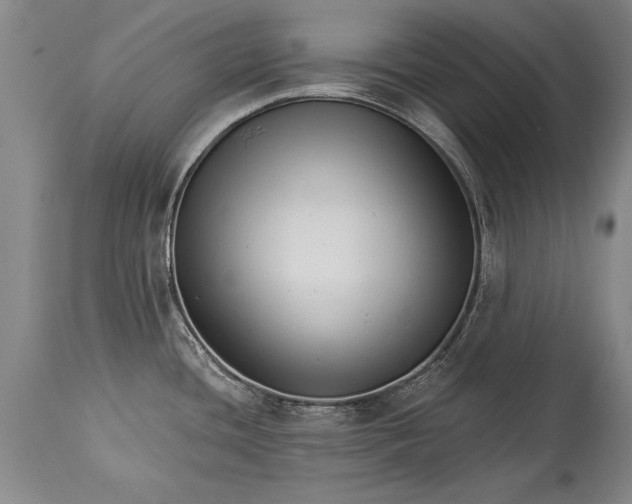 X0000114401436200911061527