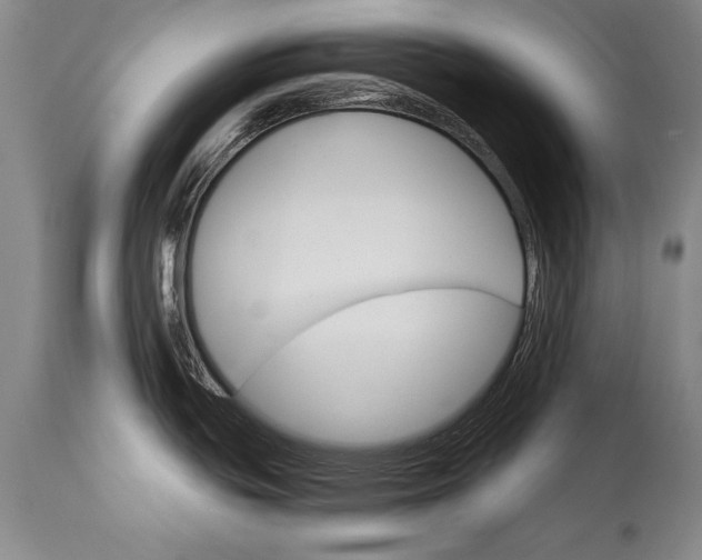 X0000114401439200911061527