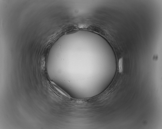 X0000114401443200911061527