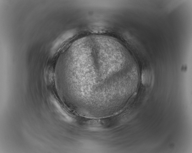 X0000114401444200911061527