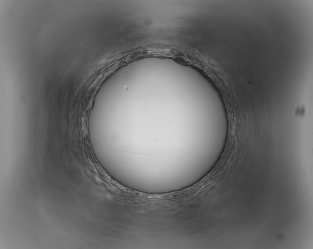 X0000114401445200911061527