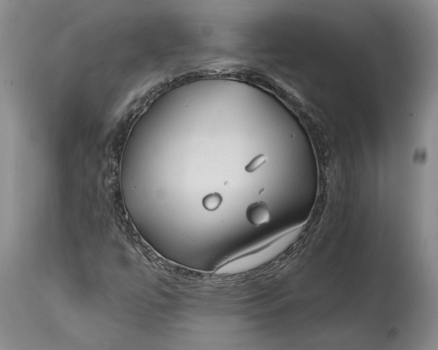 X0000114401447200911061527