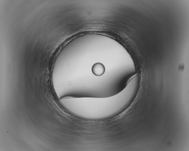 X0000114401449200911061527