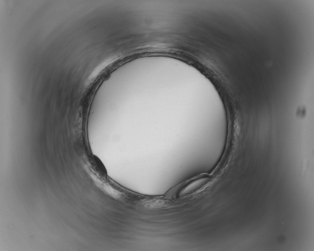 X0000114401450200911061527