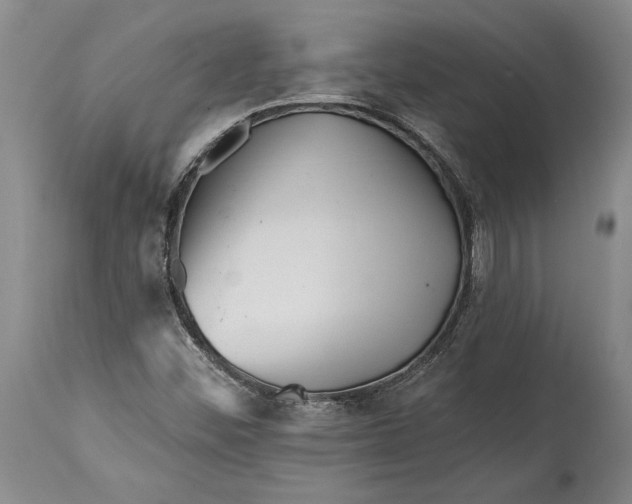 X0000114401452200911061527