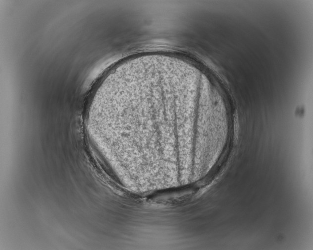 X0000114401453200911061527