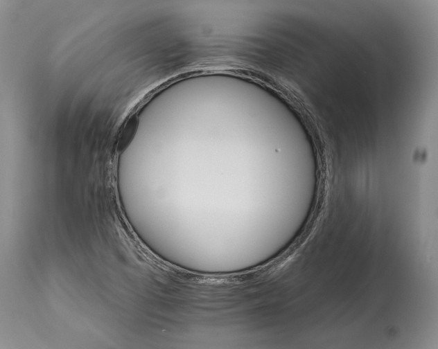 X0000114401457200911061527