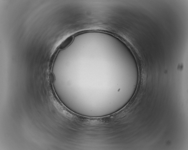 X0000114401460200911061527