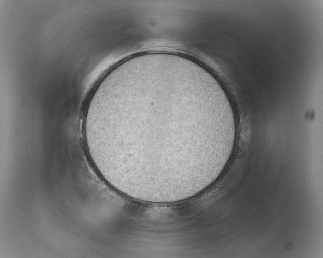 X0000114401462200911061527