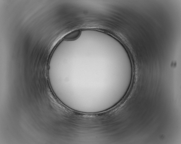 X0000114401465200911061526