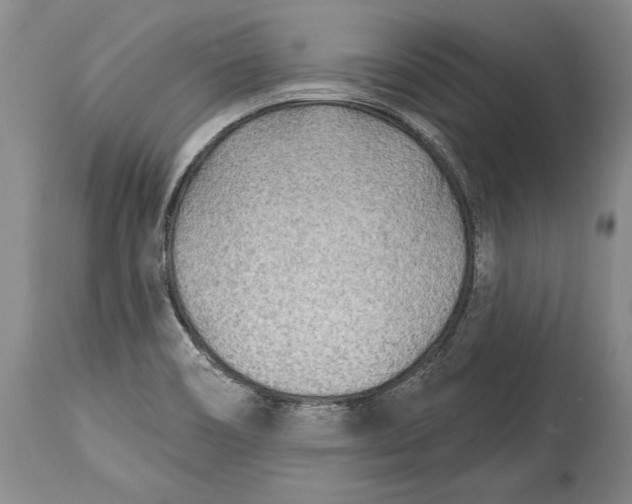 X0000114401466200911061526