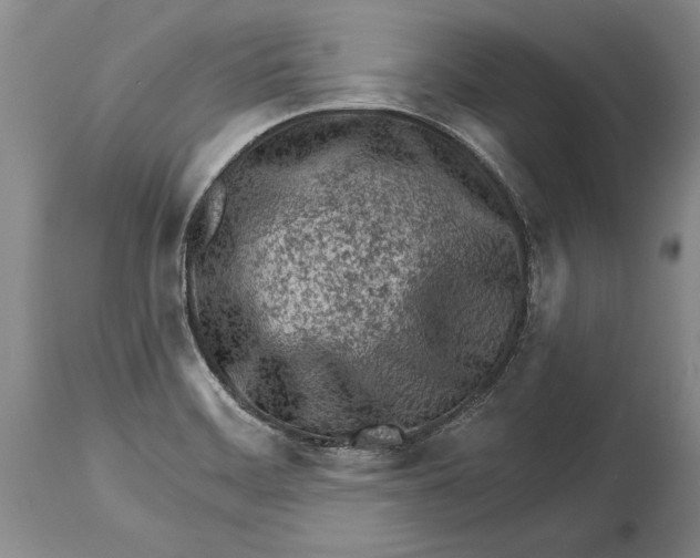 X0000114401468200911061526