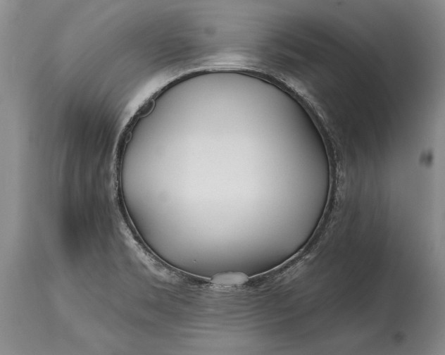 X0000114401469200911061526