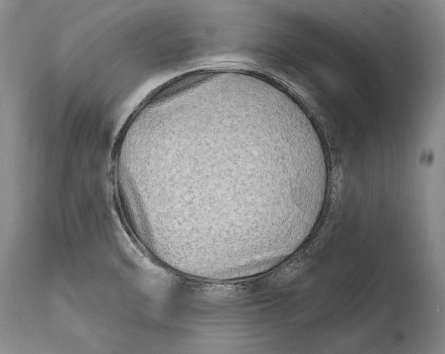 X0000114401470200911061526