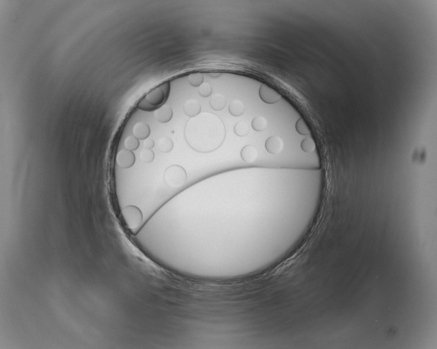 X0000114401471200911061526