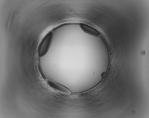 X0000114401472200911061526