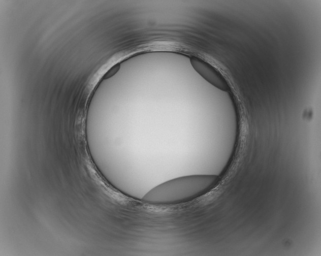 X0000114401473200911061526