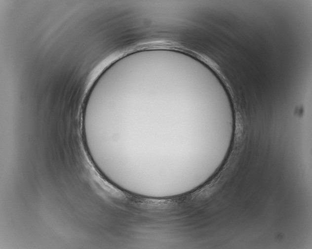 X0000114401474200911061526