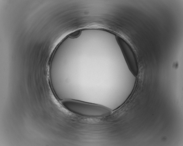 X0000114401476200911061526