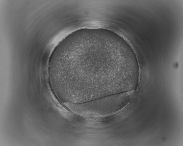 X0000114401477200911061526