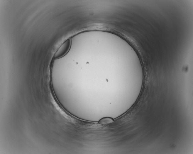 X0000114401479200911061526