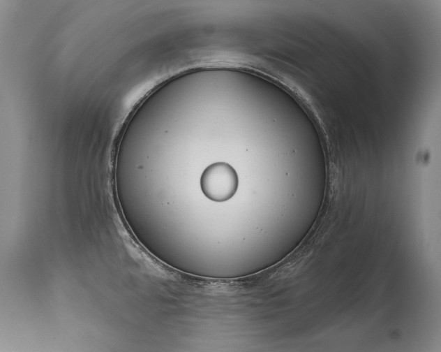 X0000114401480200911061526