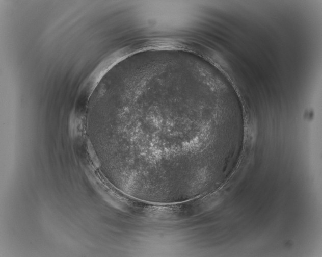 X0000114401481200911061526