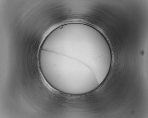 X0000114401482200911061526