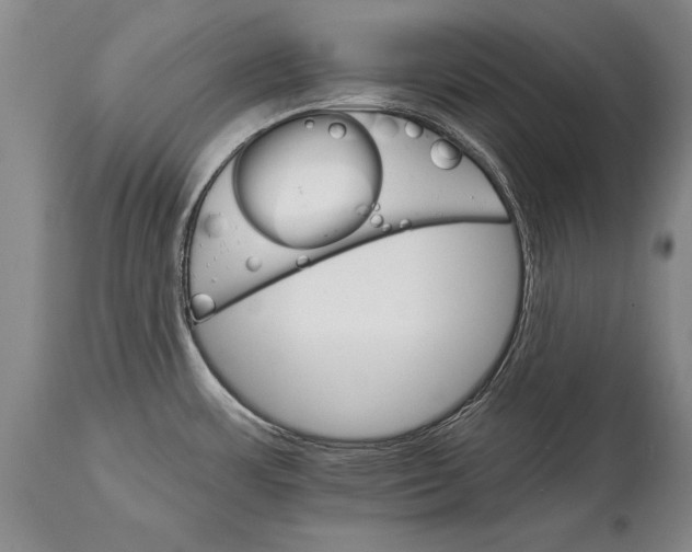 X0000114401483200911061526