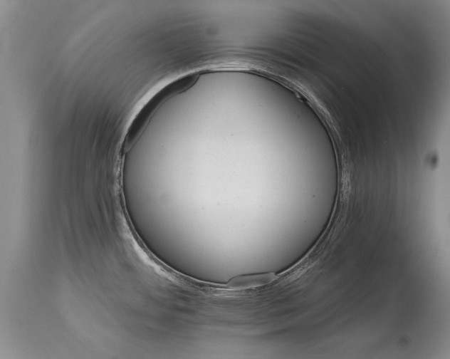 X0000114401484200911061526