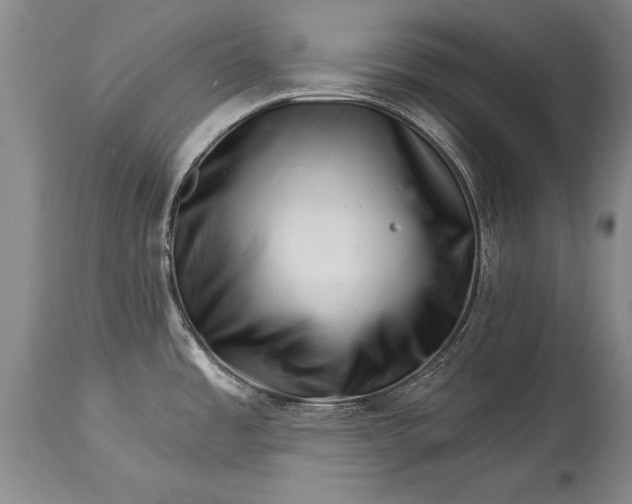 X0000114401485200911061526