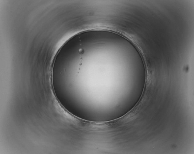 X0000114401486200911061526