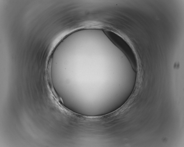 X0000114401488200911061526