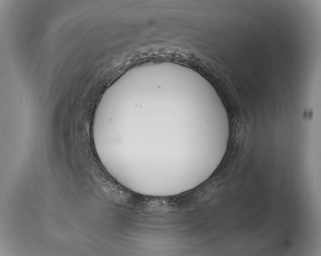 X0000114401489200911061526