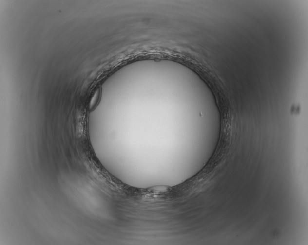 X0000114401490200911061526