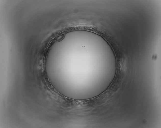 X0000114401493200911061526