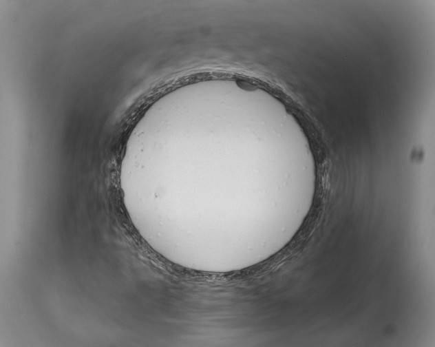 X0000114401495200911061526