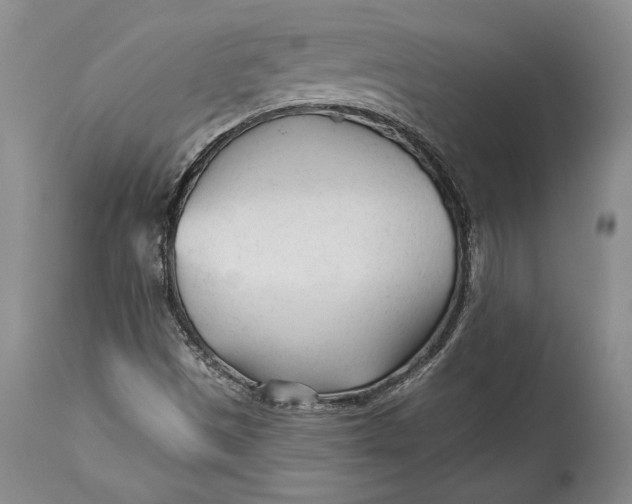 X0000114401497200911061526