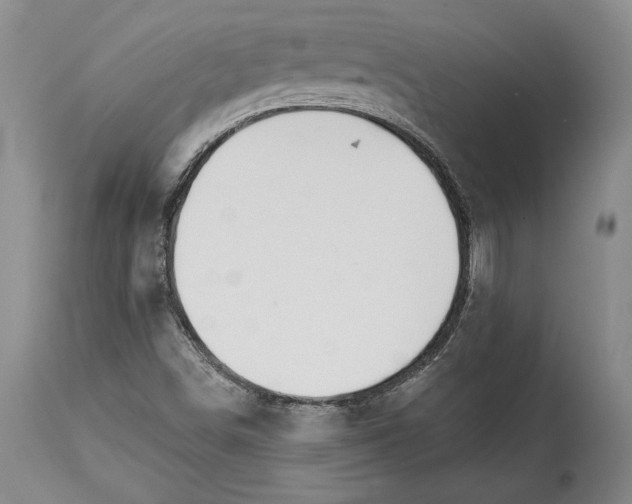 X0000114401498200911061526