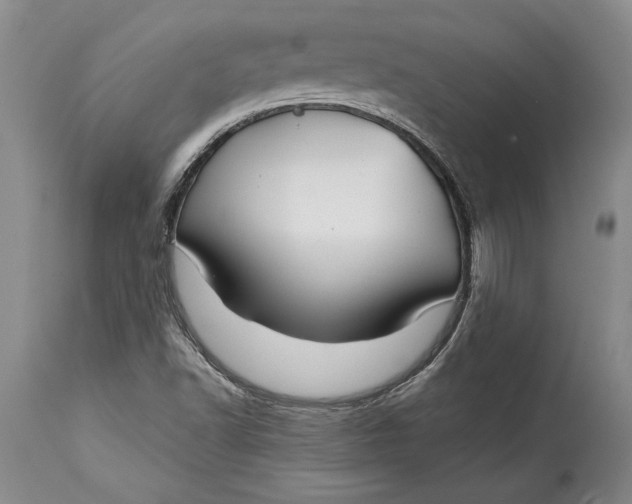 X0000114401502200911061526