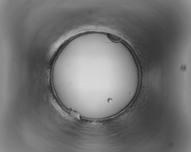 X0000114401503200911061526