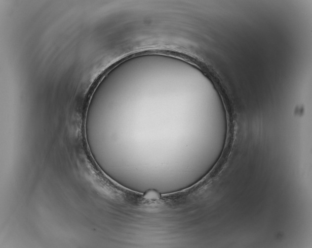 X0000114401505200911061526