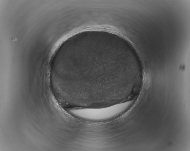 X0000114401506200911061526