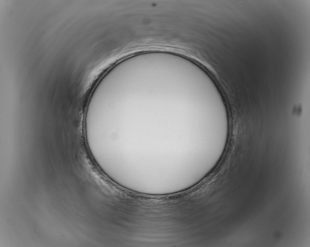 X0000114401507200911061526