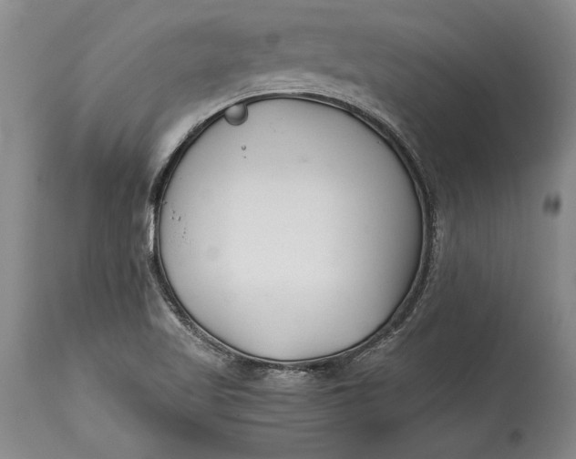 X0000114401509200911061526