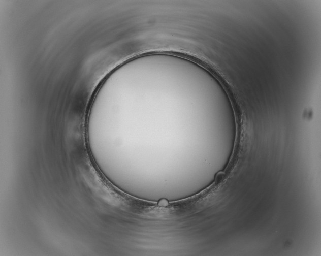 X0000114401513200911061526