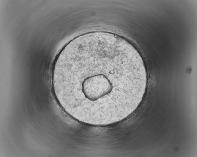 X0000114401514200911061526