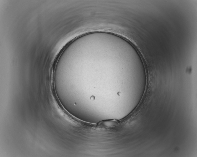 X0000114401515200911061526