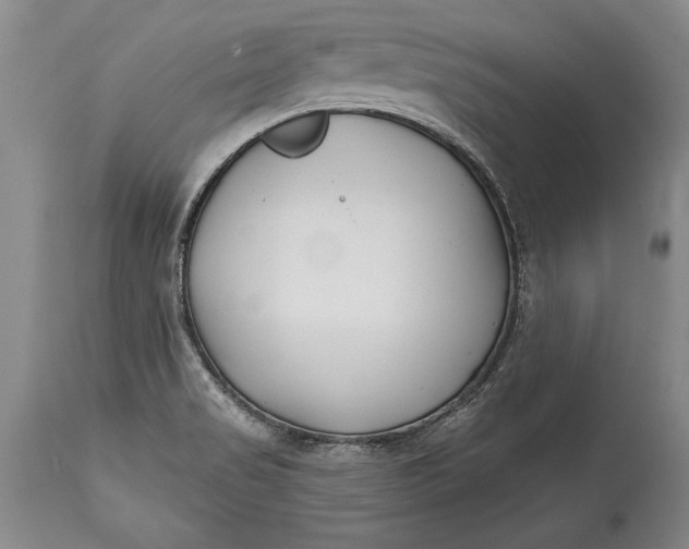 X0000114401517200911061526